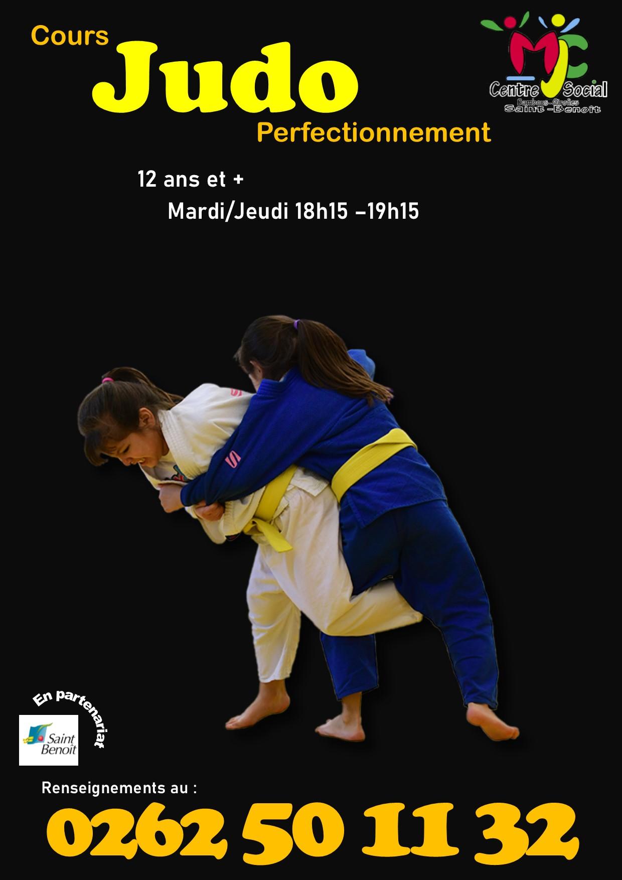 Judo perfectionnement 2024